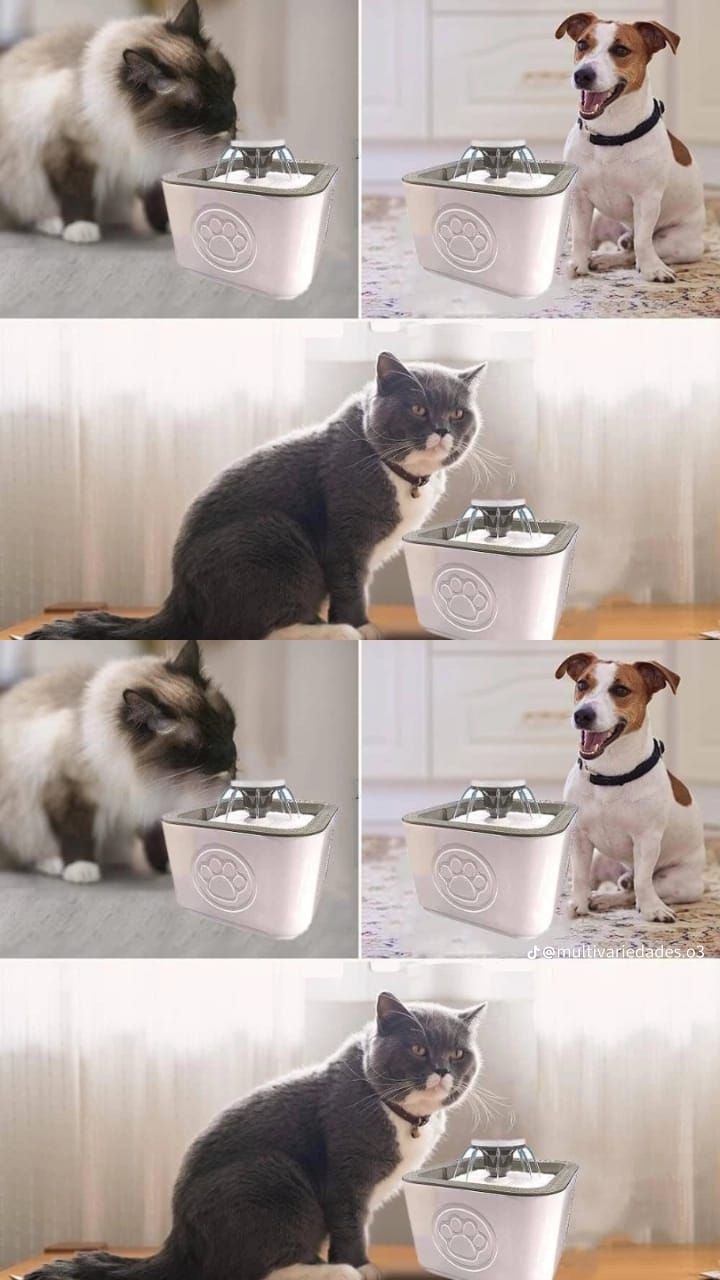 HydroPet Lux™